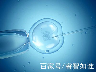 周医師
